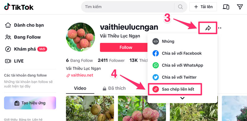 Sao chép link Tiktok của người khác trên máy tính